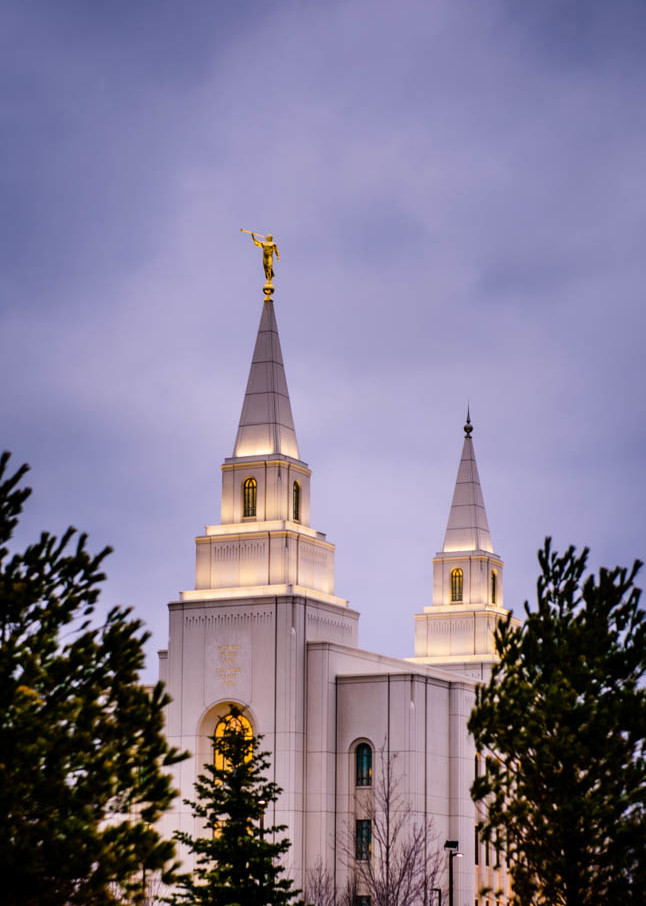 Kansas City Through the Trees