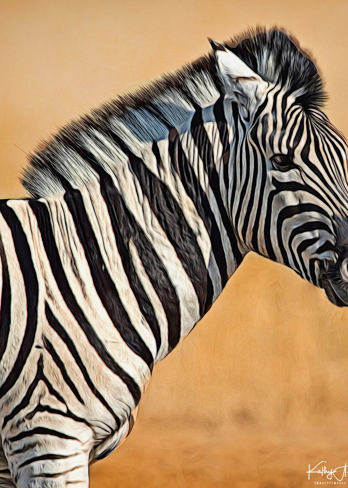 Zebra Foal Portrait Art | Images2Impact