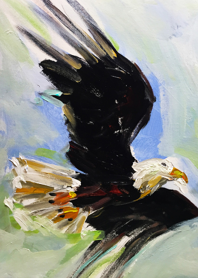 Bald Eagle 300 Art | Charles Wallis