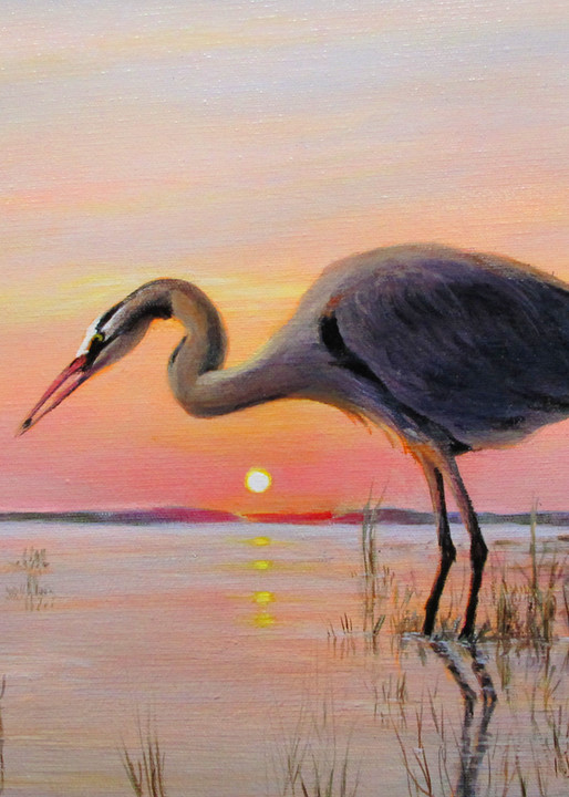 Great Blue Heron At Dawn Art | Charles Wallis