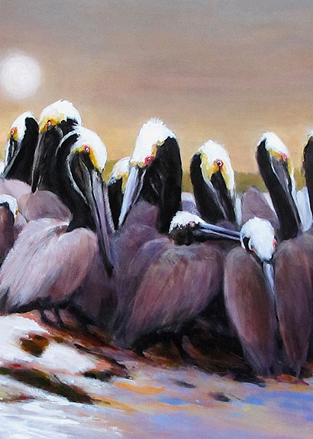 Brown Pelicans On Shamrock Island Refuge Art | Charles Wallis