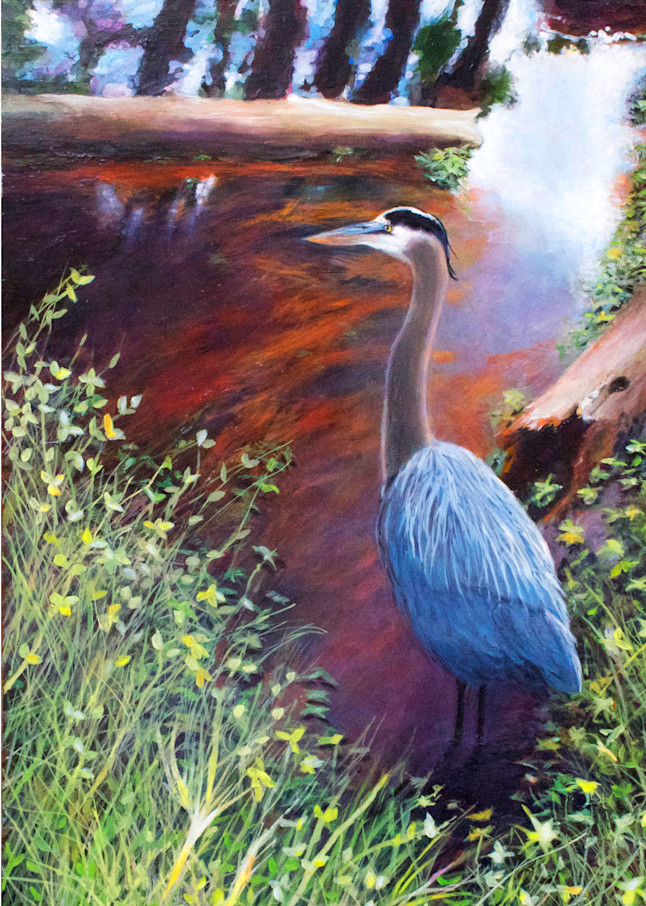 Great Blue Heron Pine Needle Slough Art | Charles Wallis