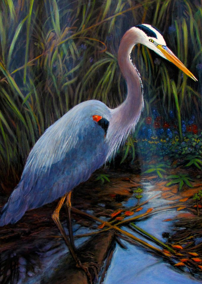 Great Blue Heron 30 X 40 Art | Charles Wallis
