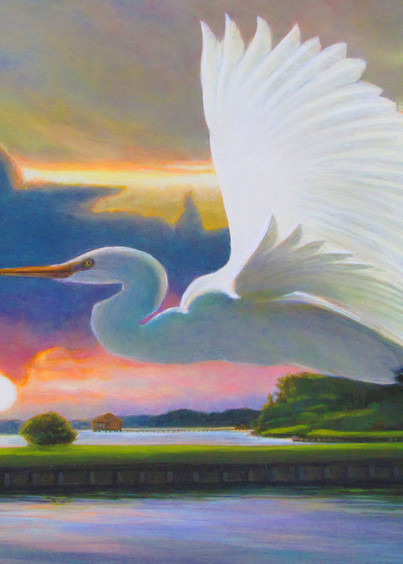Great White Egret Sunrise A Art | Charles Wallis