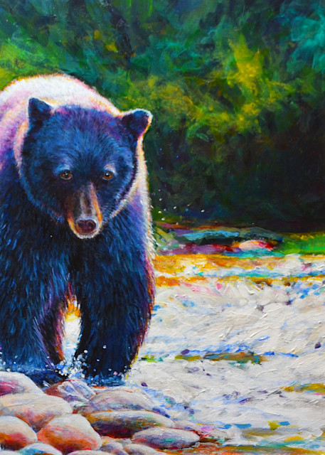 Black Bear On The Prowl.300.12x18 Art | Charles Wallis