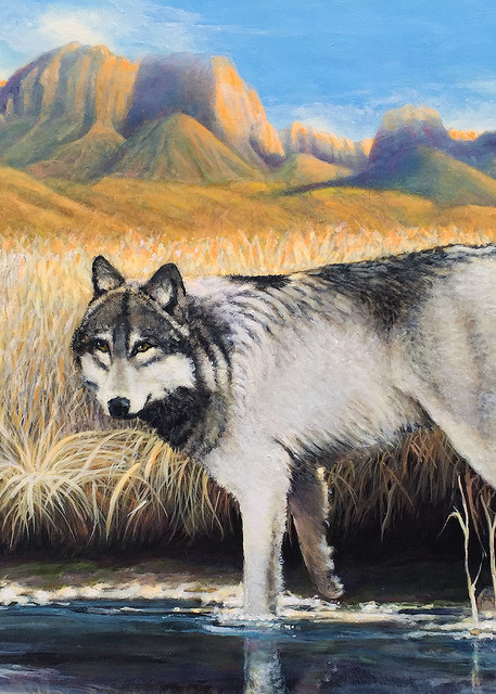 She Wolf And Cub 24 X36 Art | Charles Wallis