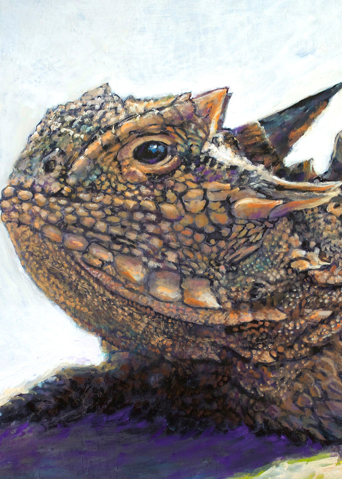Texas Horned Lizard20x20 72 Art | Charles Wallis