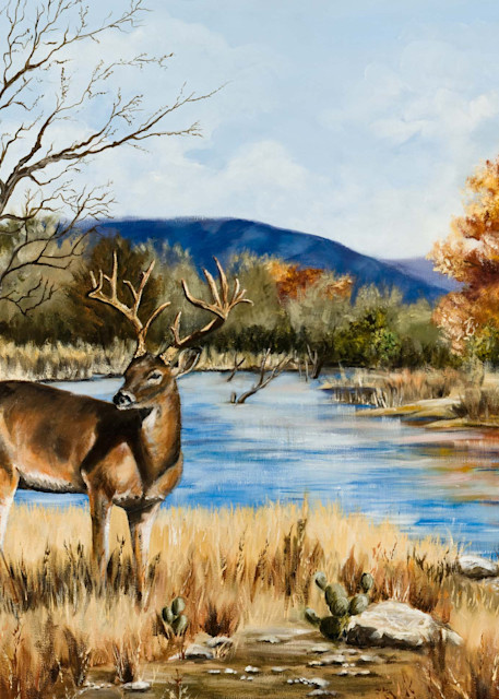 Fine Art print Texas hill country whitetail deer