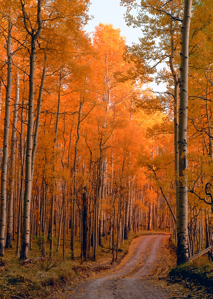 Autumn Journey on Last Dollar Road by art photographer James Frank