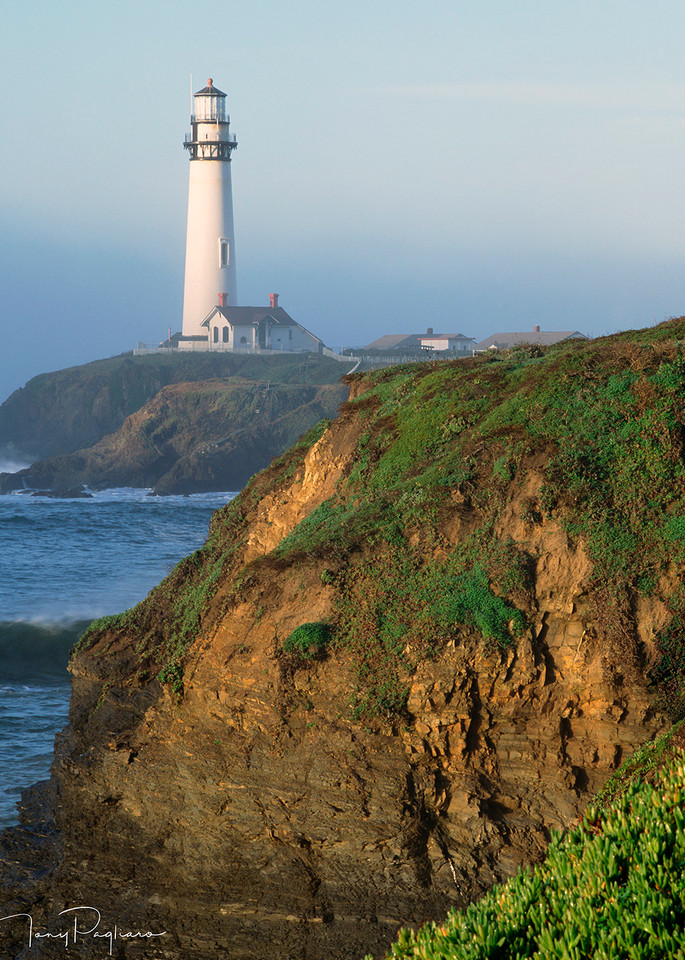 Pigeon Point Lighthouse In Fog Art | Tony Pagliaro Gallery