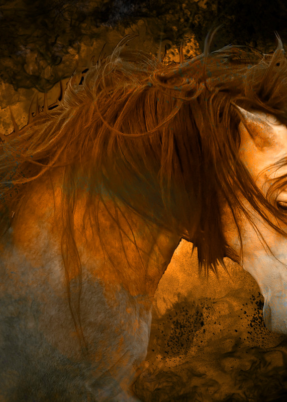 Equine Inferno Art | Images2Impact