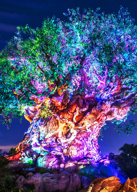 Tree of Life Awakenings - Disney Art for Sale | William Drew