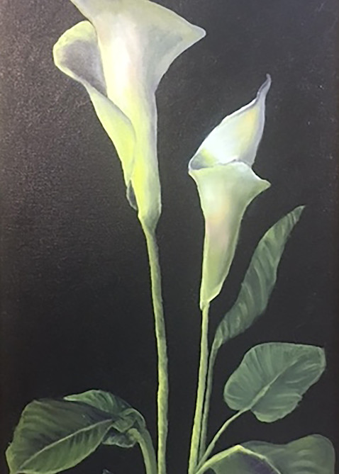 White Canna Art | Debra Davis Fine Art