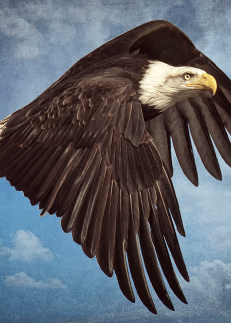 Banking Eagle Art | Images2Impact