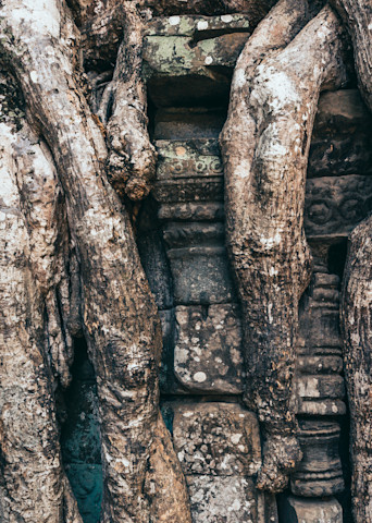 Angkor Wat | Cambodia | Ta Prohm | Tomb Raider Temple Photography Art | Sandra Jasmin Photography