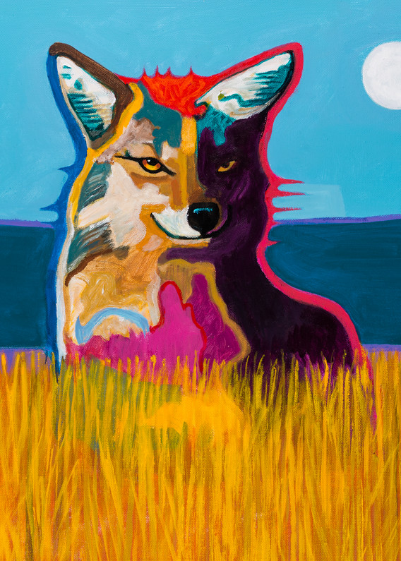 Coyote in a Field | John Nieto Art Reproduction