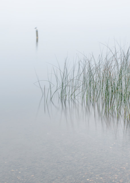 Morning fog Leech lake.