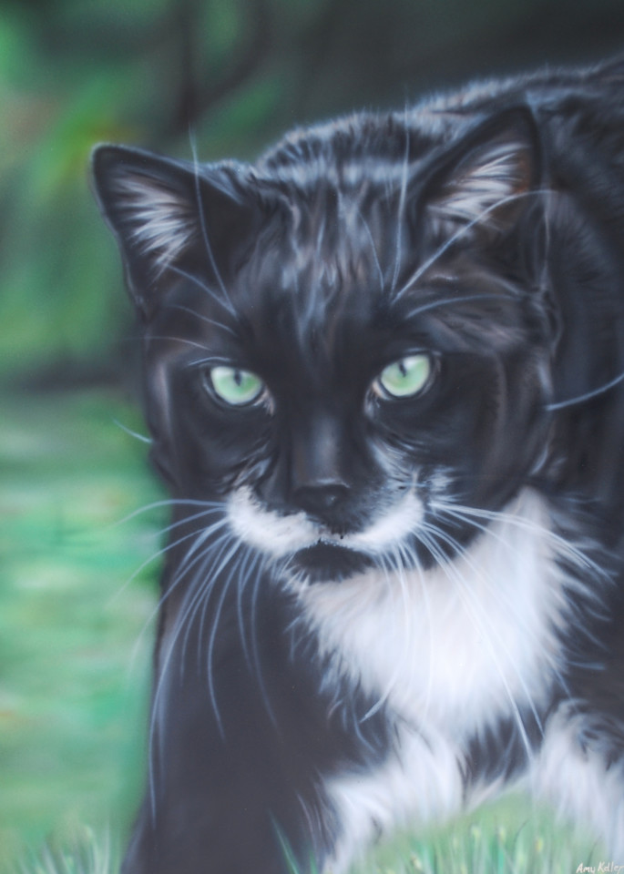 Pet Portrait by Amy Keller-Rempp - Cat