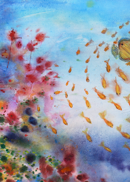Coral Reef - Fine Art Prints on Canvas, Paper, Metal & More by Irina Malkmus