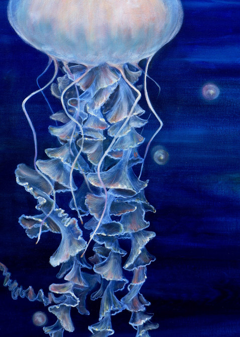 Lace Jellyfish - Fine Art Prints on Canvas, Paper, Metal & More by Irina Malkmus