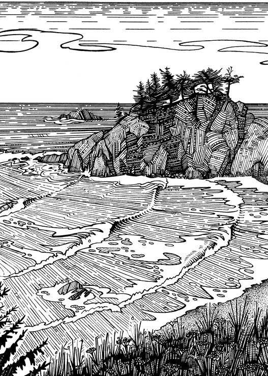 Wild Goat Cove Pen and Ink by Spencer Reynolds