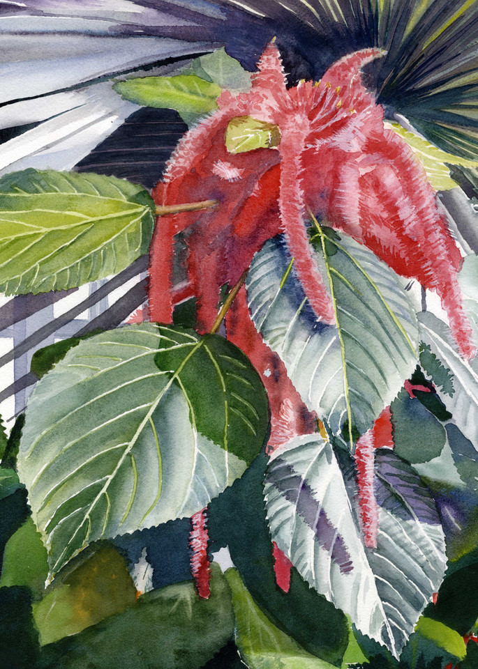 Red Chenille Garden Botanical Flower Print