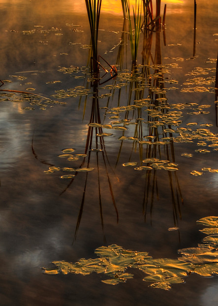 Sunrise On Fern Lake Art | Michael Sandy Photography