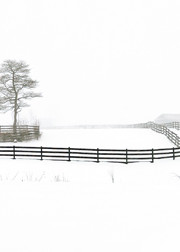 Bucks County Fences - Michael Sandy Photography