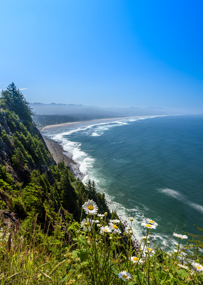 Oregon Coast Viewpoint Photography Art | Gingerich PhotoArt