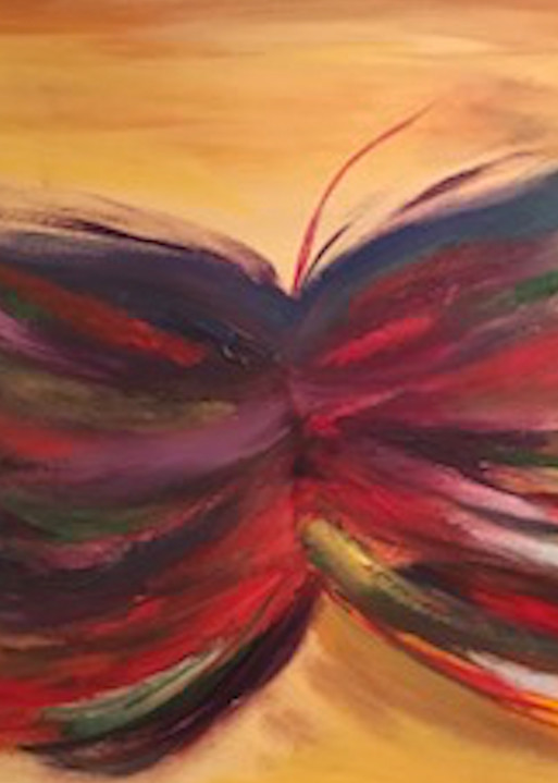 Butterfly colorful image
