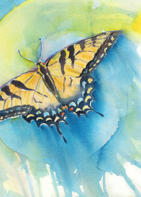 Tiger Swallowtail Art | Bright Spirit Studio