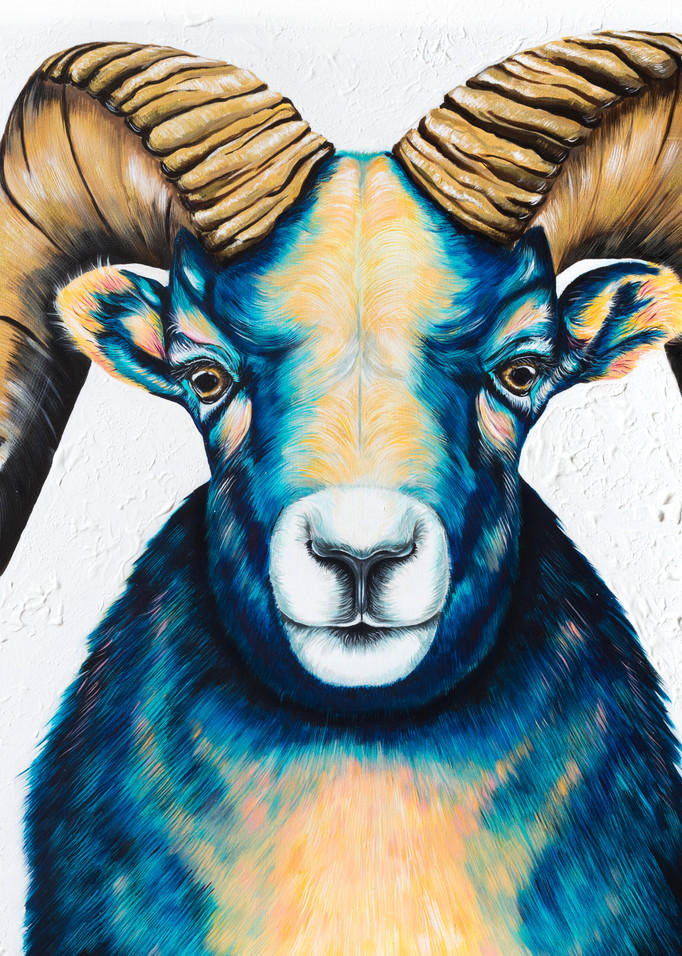 Blue Mouflon Goat Print 