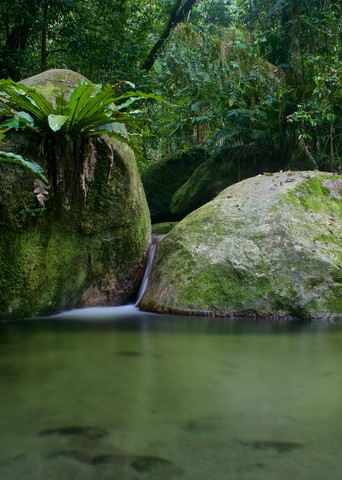 Kuku Yalanji Dreaming - Mossman Gorge Daintree Rainforest Queensland Australia | Limited Edition Dreamtime