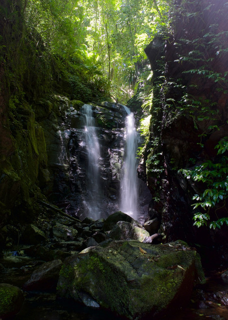Green With Envy - Box Log Falls Waterfall Lamington National Park Qld Australia | Waterfall