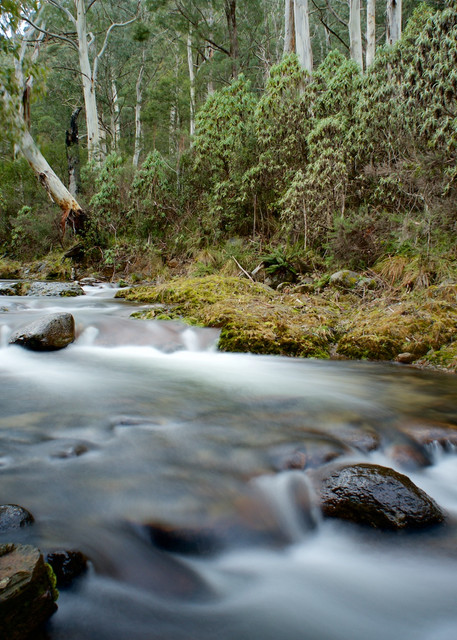 Alpine Flow - Leatherbarrel Creek Khancoban Kosciuszko National Park NSW Australia | Waterfall