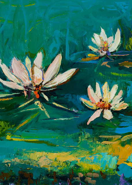 White Water Lily Prints Sale 
