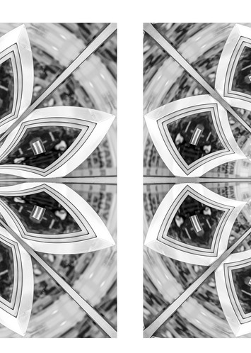 Petals of Illusion (diptych)