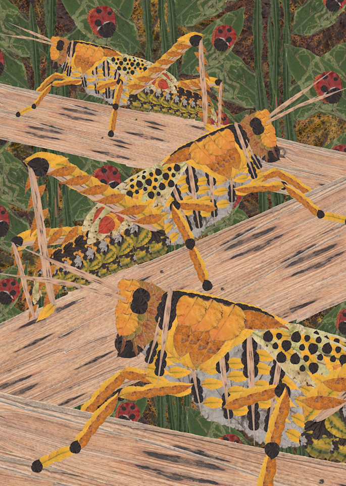 Grasshoppers Art | smacartist
