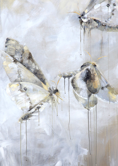Moths In White Art | Britt Freda Studio 