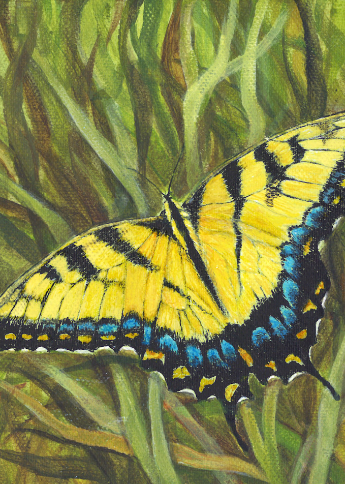 Yellow Swallowtail Art | Lori Vogel Studio