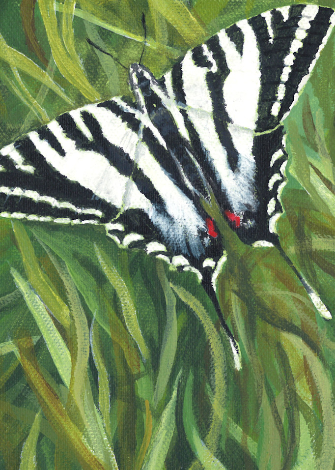 Zebra Swallowtail Art | Lori Vogel Studio