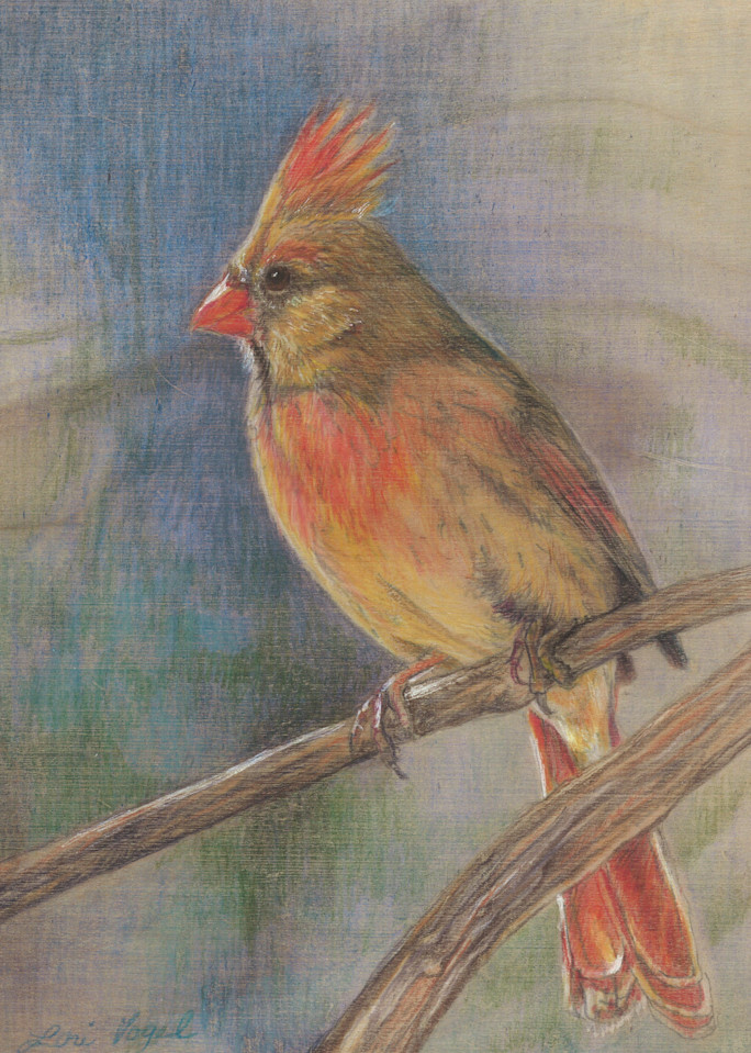 Female Cardinal Art | Lori Vogel Studio