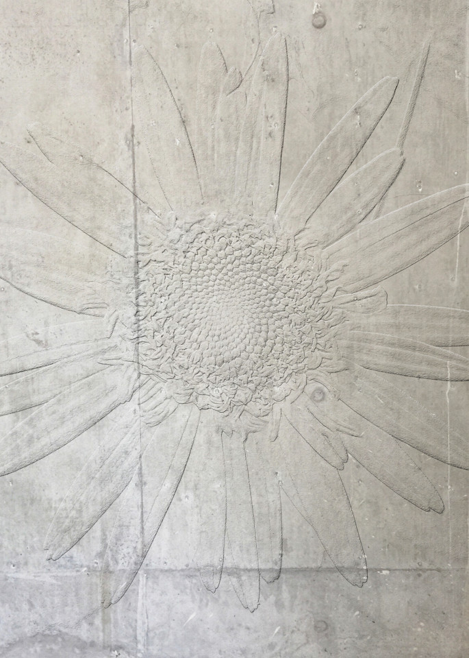 Concrete Daisy Art | SkotoArt
