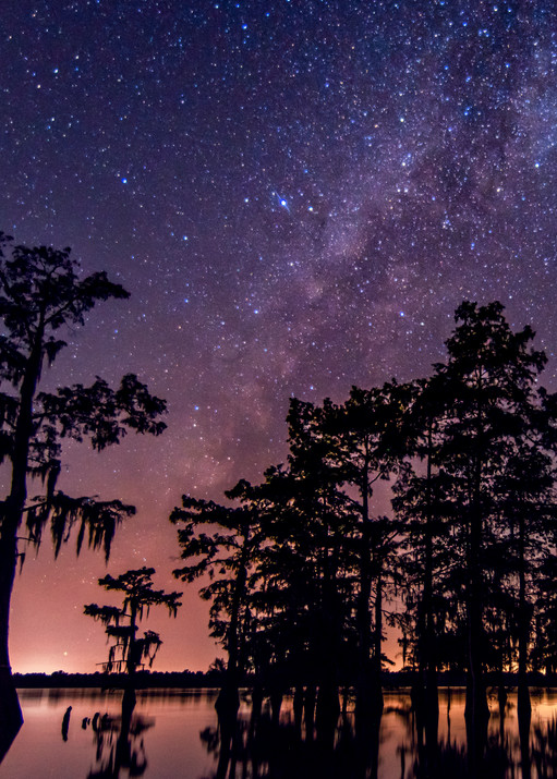 Star bright swamp astro photography