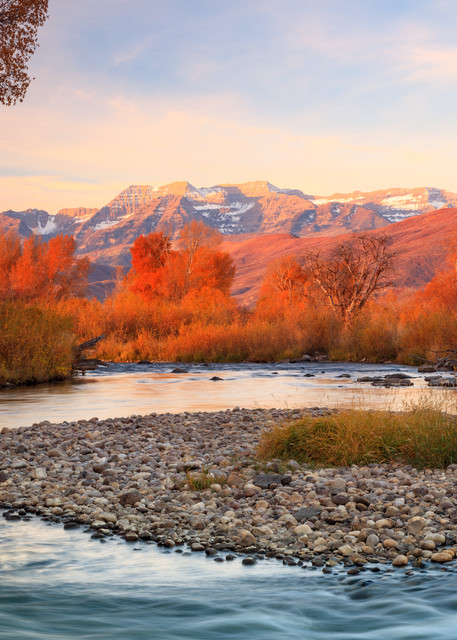 golden glow at the provo river
