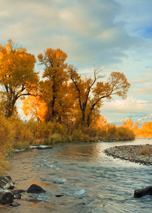 provo river fall panorama