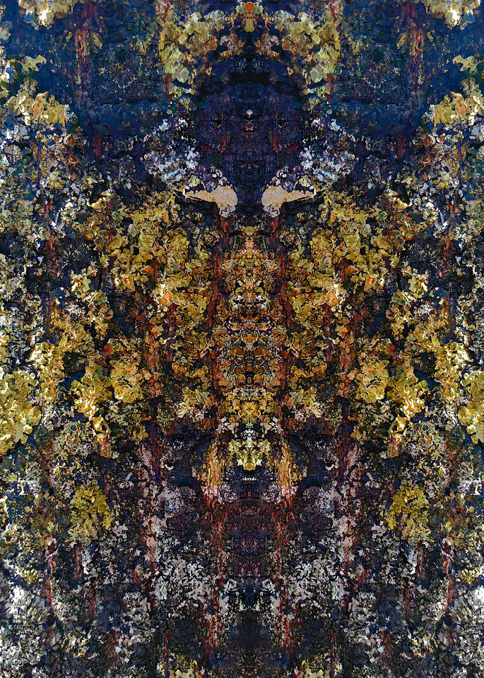 Lichen | Guardian Art | SkotoArt