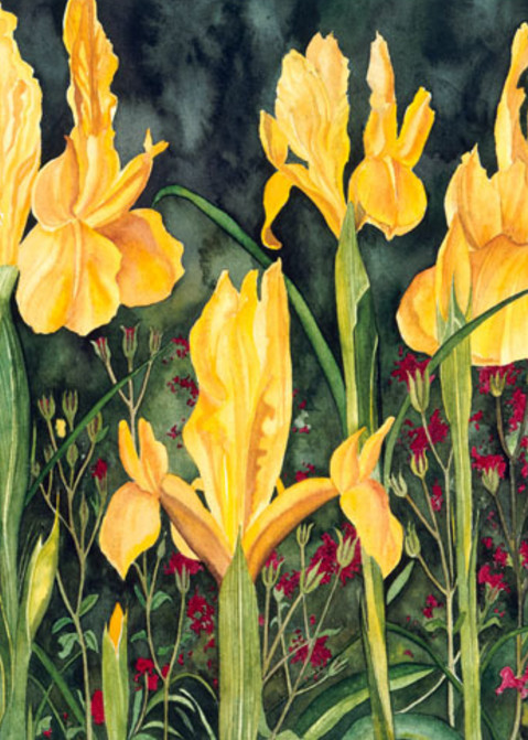 Bette's Irises Art | Digital Arts Studio / Fine Art Marketplace