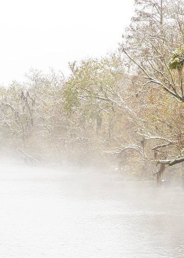 Snowy bayou swamp photography