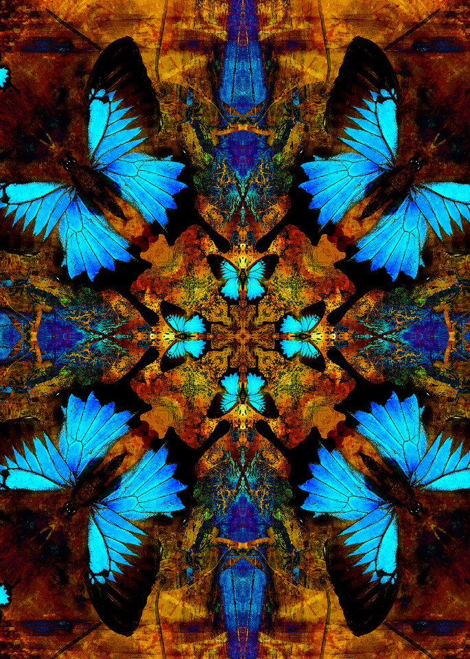 Papilio Blues Art | SkotoArt